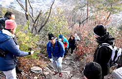 元旦登山2019の画像