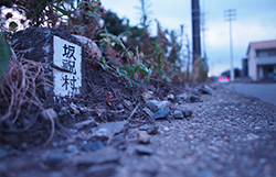 写真展、フォトコンの画像